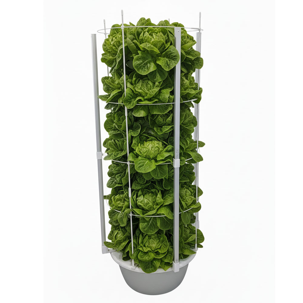 TowerPatch 9-Level Hydroponic Tower loaded with fresh lettuce
